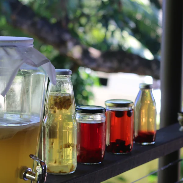 Berry Hibiscus Kombucha Duo — Beverages at Gallen Shop