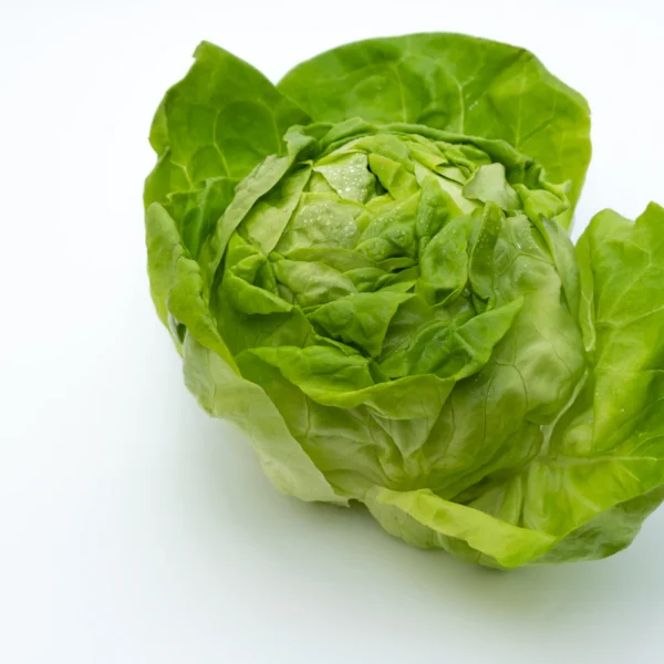 Butter Lettuce Twin Pack — Fresh Produce at Gallen Shop