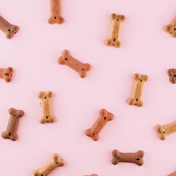 Durable Rubber Chew Bone — Pet Supplies at Gallen Shop