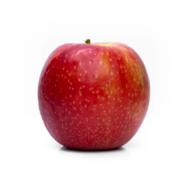 Gala Apple Snack Pack 6-Count — Fresh Produce at Gallen Shop