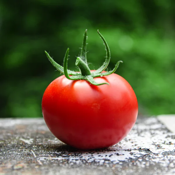 Heirloom Cherry Tomato Medley — Fresh Produce at Gallen Shop