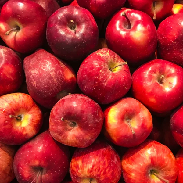 Honeycrisp Apples 3 lb — Fresh Produce at Gallen Shop