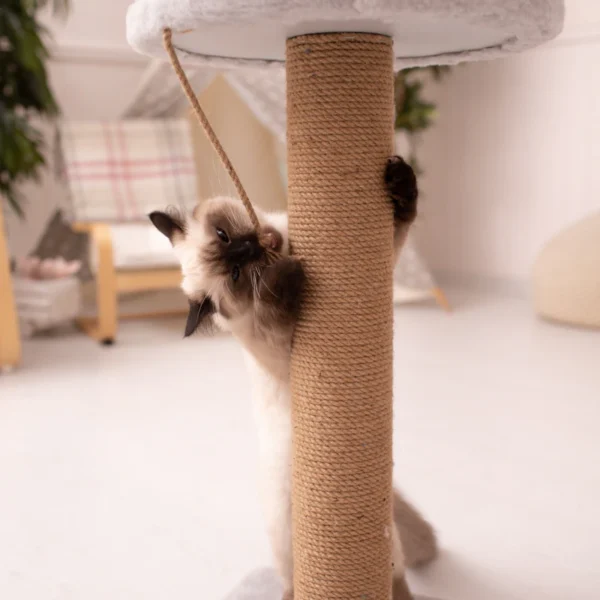Modern Cat Tree Tower 52" — Pet Supplies at Gallen Shop