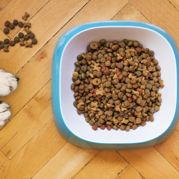 Natural Chicken Dog Treats 16 oz — Pet Supplies at Gallen Shop