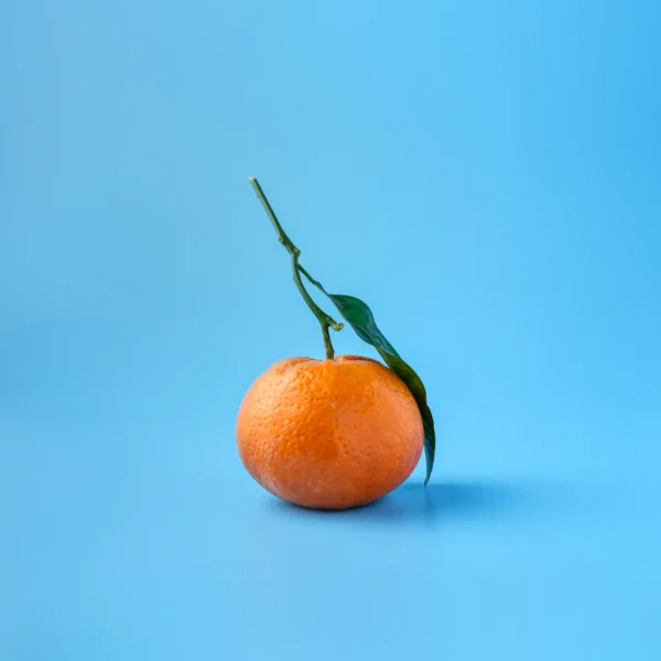 Navel Orange Bag 4 lb — Fresh Produce at Gallen Shop