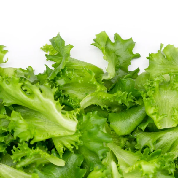 Organic Baby Spinach & Greens Blend — Fresh Produce at Gallen Shop