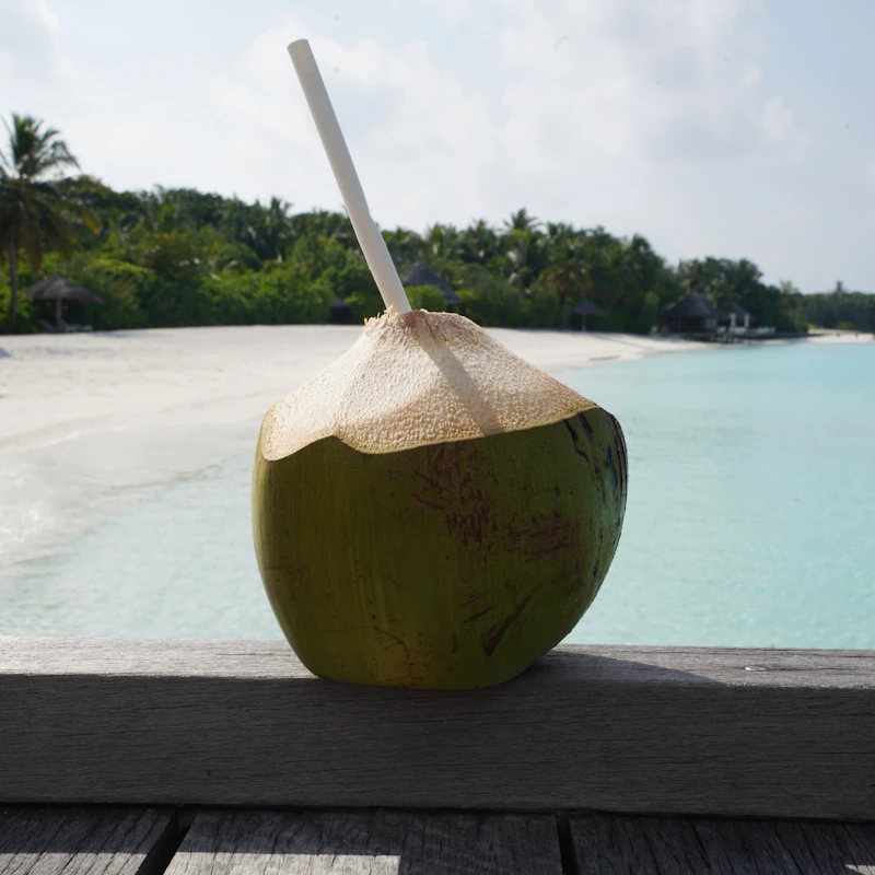 Pure Coconut Water 6-Pack β Beverages at Gallen Shop