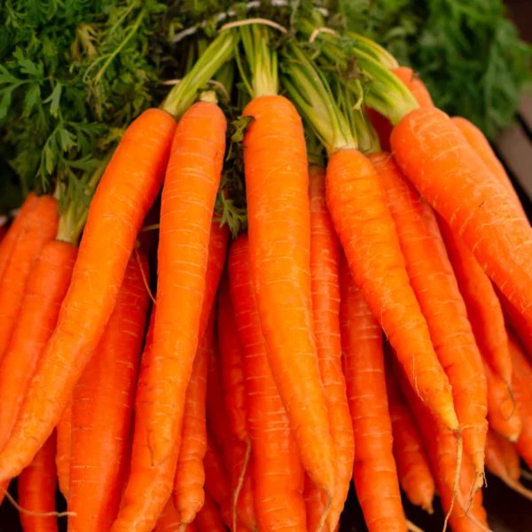 Rainbow Carrot Bunch — Fresh Produce at Gallen Shop