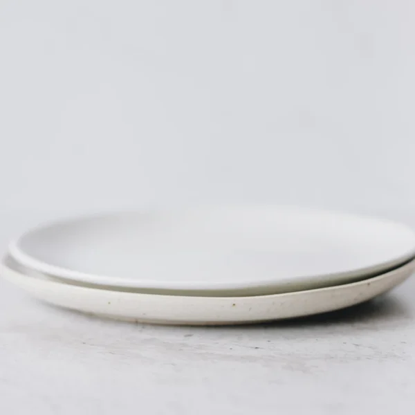 Stoneware Dinner Plate Set of 4 — Home & Kitchen at Gallen Shop