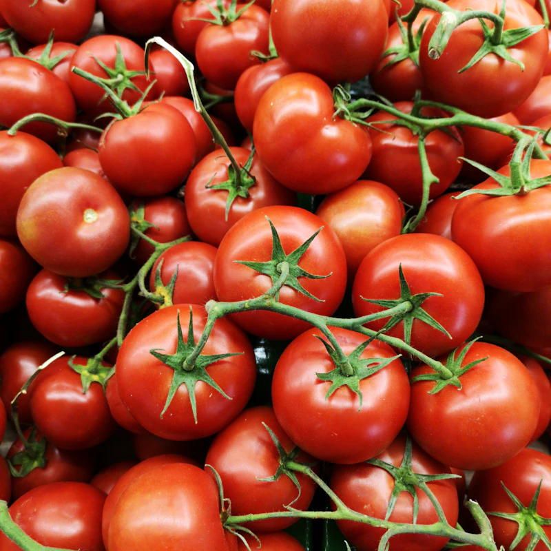 Vine-Ripened Tomatoes 1.5 lb β Fresh Produce at Gallen Shop